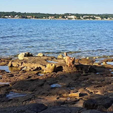 Kır Evi Sobe Anja Brtonigla