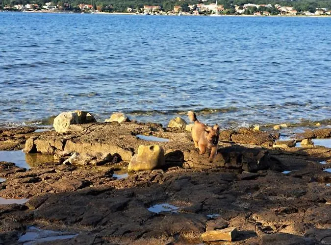 Landhuis Sobe Anja Brtonigla